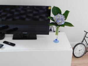 奥尔塔NiaAzoreanApartments2, aconchegante e confortável!的花瓶里的花,桌子上的花,电视