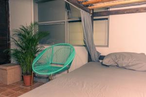 圣何塞Chillout Hostel Barrio Escalante的相册照片