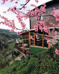 贾马里海姆森MEKTA BUNGALOV的山丘上一座粉红色花房