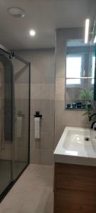 亚斯凯恩Chambre cosy entre mer et montagne的带淋浴、盥洗盆和镜子的浴室