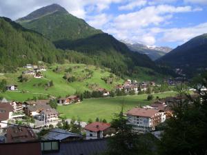 索尔登Hotel Bruno的山中的一个村庄,有一片绿地