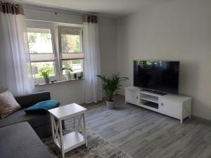 萨勒河畔哈雷Gemütliches, voll ausgestattetes Apartment的带沙发和平面电视的客厅