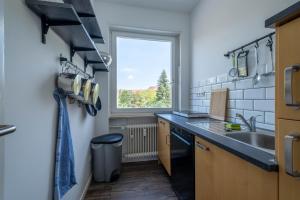 卡尔斯鲁厄Spacious Flat的一个带水槽和窗户的小厨房