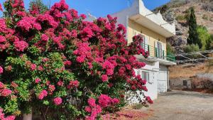 卡洛吉亚Villa Dunes 350m from the sandy beach的一座房子前面的粉红色花丛