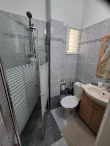 内坦亚Chilling in Netanya的带淋浴、卫生间和盥洗盆的浴室