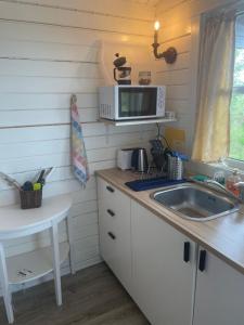 塞尔福斯Hulduhólar Cabin - The Elf Hills.的一间带水槽和微波炉的小厨房