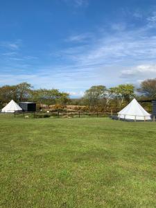 Llwyn-DafyddBell tent 1 Glyncoch isaf farm的草场上的两顶白色帐篷