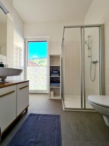 蒙德塞Beim Lanner - Franz的带淋浴和盥洗盆的浴室