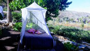 阿鲁卡斯Casa Finca Doñana的花园帐篷内的床位