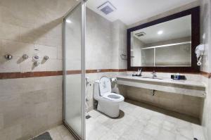 查亚普拉ASTON Jayapura Hotel and Convention Center的带淋浴、卫生间和盥洗盆的浴室