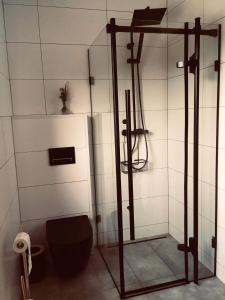 兹沃蒂斯托克M2的浴室配有淋浴和卫生间。