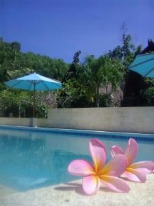 TepusLight Blue Villa的游泳池旁的沙子上,有粉红色的花朵
