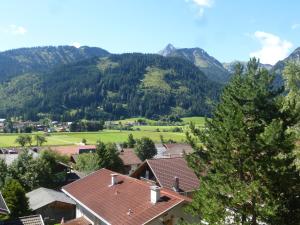 坦海姆Apartment Austria的山地的村庄
