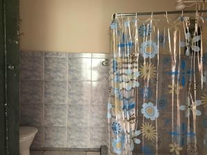 戈亚斯Casa por temporada的浴室设有鲜花和淋浴帘。