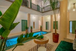 马拉喀什Riad Trésor Marrakech的植物之家的室内游泳池