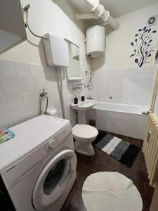 温科夫齐Ema Apartmani的一间带洗衣机和卫生间的浴室