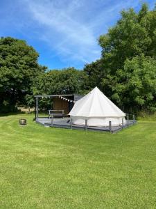 Llwyn-DafyddBell tent 1 Glyncoch isaf farm的草场中央的白色帐篷