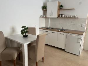 索科矿泉村Studio Mijailović的厨房配有桌椅和水槽。
