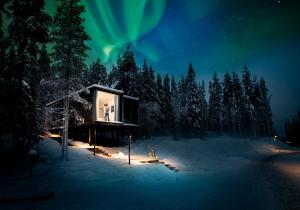 罗瓦涅米北极树屋酒店 的一间位于森林中并配有窗户的客房,拥有北极光
