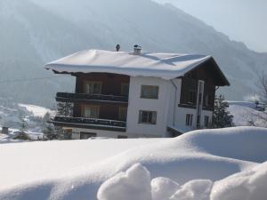 坦海姆Apartment Austria的积雪覆盖的建筑物