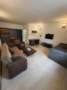 奥赫热河畔克拉什泰莱茨Penzion TOŠA的带沙发和平面电视的客厅