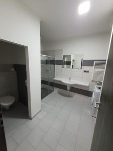 奥赫热河畔克拉什泰莱茨Penzion TOŠA的一间带两个盥洗盆、淋浴和卫生间的浴室