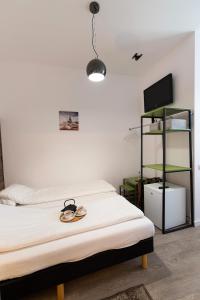 克卢日-纳波卡Ultra Central Bohemian Apartment 1的一间卧室配有一张床、一台电视和书架