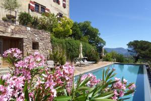 阿皮亚诺苏拉斯特拉达Schloss Englar的一座带游泳池和鲜花的别墅