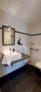 斯帕La Ferme du Soyeuru的一间带水槽、镜子和卫生间的浴室