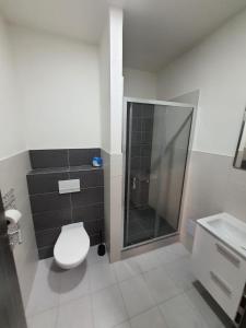 奥赫热河畔克拉什泰莱茨Penzion TOŠA的一间带卫生间和玻璃淋浴间的浴室