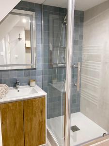 图卢兹Appartement au centre de Toulouse的带淋浴、盥洗盆和卫生间的浴室