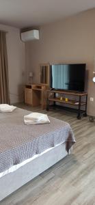 奥马斯帕纳吉亚斯Vot villas的一间卧室配有两张床和一台平面电视