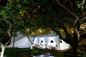 普罗奇达La Casa sul Faro的一群桌子和椅子在树下晚上