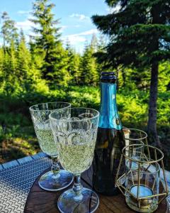 图什比Glamping Tent with amazing view in the forest的2杯酒和1瓶桌子