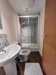 格拉斯哥Lovely 2-Bed Serviced apartment with free parking的一间带水槽、卫生间和淋浴的浴室