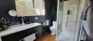 塔卡卡怀塔普泉住宿加早餐旅馆的浴室配有白色水槽和卫生间。