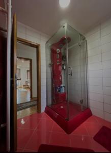 萨拉热窝Villa Dream的一间铺有红色地板的带淋浴的浴室