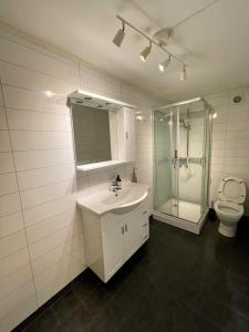 特罗姆瑟Guesthouse in Tromso center by Dada的一间带水槽、淋浴和卫生间的浴室