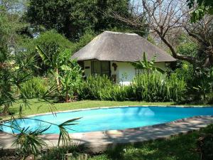 卡蒂马穆利洛Caprivi River Lodge的前面有一个蓝色泳池的小房子