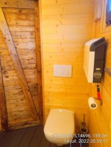 LessiveCabane de l'Ermitage的木墙浴室设有卫生间