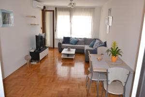 巴尼亚卢卡Apartment Lazarus Banja Luka的客厅配有沙发和桌子