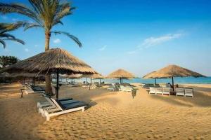 苏伊士palmera el sokhna的海滩上设有椅子和草伞,还有大海