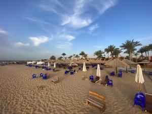 苏伊士palmera el sokhna的沙滩上,有椅子和遮阳伞,棕榈树