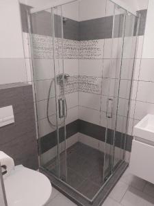 奥赫热河畔克拉什泰莱茨Penzion TOŠA的设有带卫生间的浴室内的淋浴间