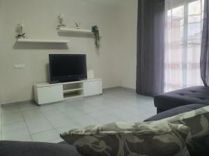 瓦伦西亚Apartamento Rio Turia的一间带电视和沙发的客厅