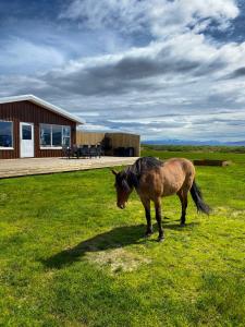 博尔加内斯Beautiful house in the nature of West Iceland的相册照片