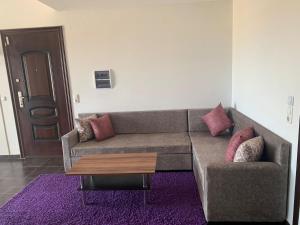 古莱比耶Luxus Apartments的带沙发和咖啡桌的客厅