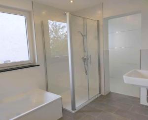 GedernCozy & Modern 4 Room Flat near Hanau的带淋浴和盥洗盆的浴室