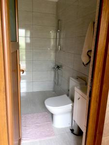 特拉布宗ACISU CAFE KONAKLAMA的一间带卫生间和淋浴的浴室