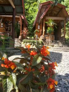 武吉拉旺Lucky Bamboo' Bungalows-Resto and OrangUtan Jungle Trekking Tours的一座花园,在一座建筑前种有橙花